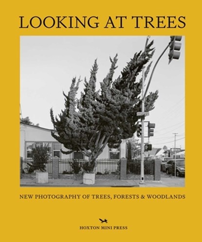 Looking At Trees, Sophie Howarth - Gebonden - 9781914314407