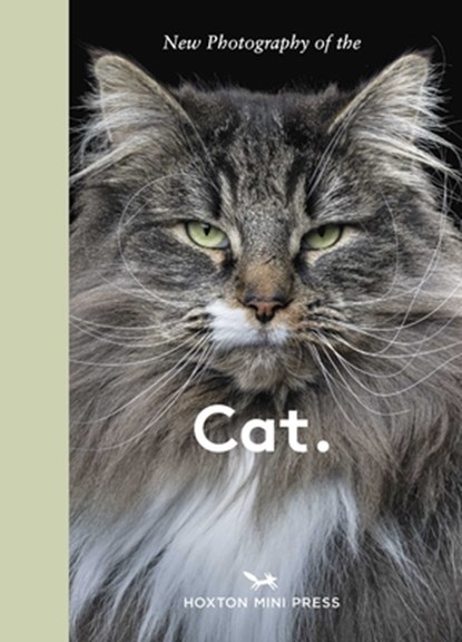 New Photography of the Cat., Hoxton Mini Press - Gebonden - 9781914314940