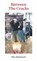 Between The Cracks, Pete Weinstock - Paperback - 9781914345357