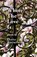 Where The Love Is, David Thompson - Paperback - 9781914407482