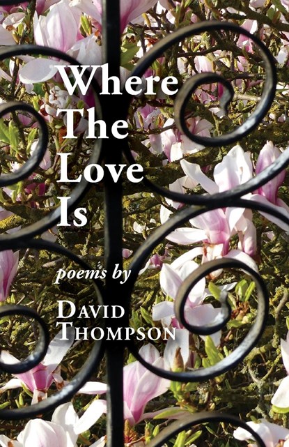 Where The Love Is, David Thompson - Paperback - 9781914407482