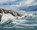 Land meets Water, John L Harris - Gebonden - 9781914407703
