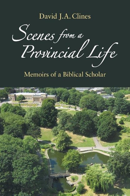 Scenes from a Provincial Life, David J. A. Clines - Paperback - 9781914490637