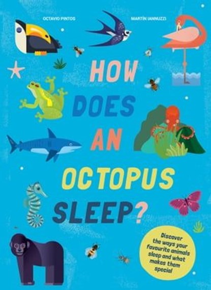 How Does An Octopus Sleep?, Martin Iannuzzi ; Octavio Pintos - Ebook - 9781914519093