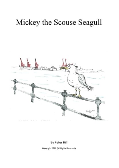 Mickey the Scouse seagull, Peter Hill - Paperback - 9781914584251