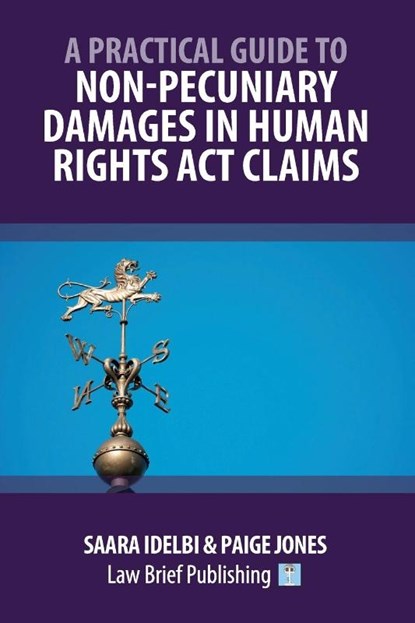 A Practical Guide to Non-Pecuniary Damages in Human Rights Act Claims, Saara Idelbi ; Paige Jones - Paperback - 9781914608452