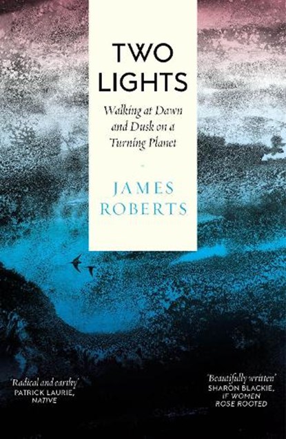 Two Lights, James Roberts - Paperback - 9781914613739
