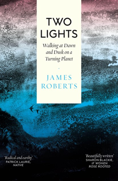 Two Lights, James Roberts - Paperback - 9781914613739
