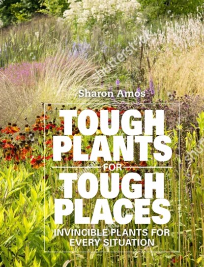 Tough Plants for Tough Places, Sharon Amos - Gebonden - 9781914902017
