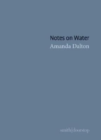Notes on Water, Amanda Dalton - Paperback - 9781914914164
