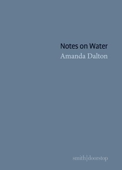 Notes on Water, Amanda Dalton - Ebook - 9781914914171