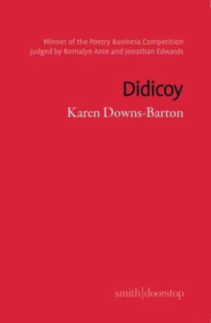 Didicoy, Karen Downs-Barton - Paperback - 9781914914379