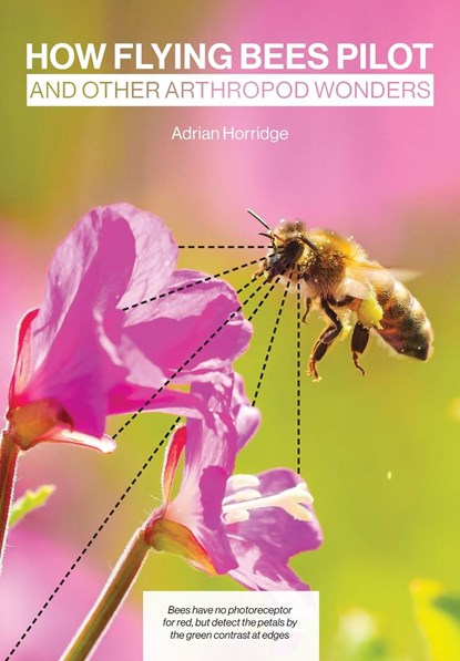 How Flying Bees Pilot, and other arthropod wonders, Adrian Horridge - Paperback - 9781914934421