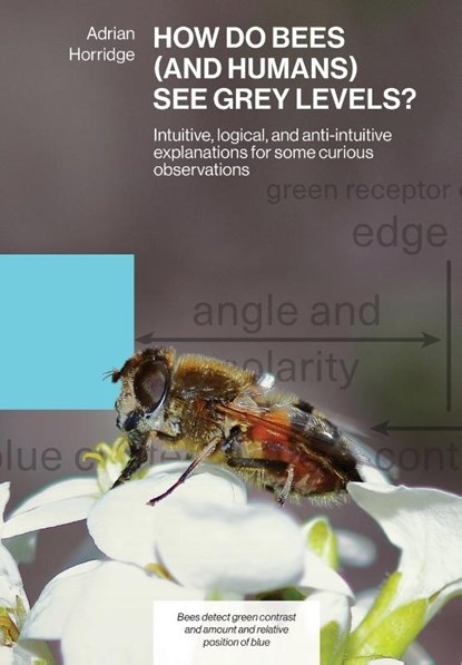 HOW DO BEES (AND HUMANS) SEE GREY LEVELS?, Adrian Horridge - Paperback - 9781914934544