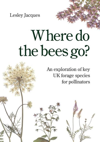 Where do the bees go?, Lesley Jacques - Paperback - 9781914934957