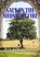 Salt on the Midnight Fire, Williams Liz - Paperback - 9781914953514