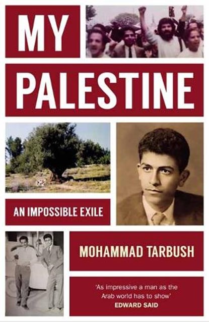 My Palestine, Mohammad Tarbush - Paperback - 9781914979200