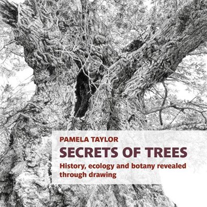 Secrets of Trees, Pamela Taylor - Paperback - 9781915048264