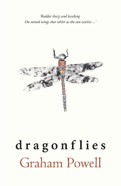 Dragonflies, Graham Powell - Paperback - 9781915067531