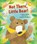 Not There Little Bear, Suzy Senior - Gebonden - 9781915074119