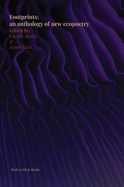 Footprints, Aaron Kent ; Charlie Baylis - Paperback - 9781915079886