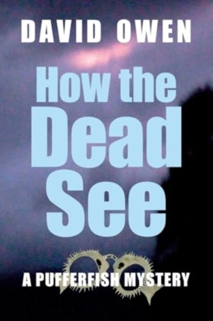 How The Dead See, David Owen - Paperback - 9781915115454