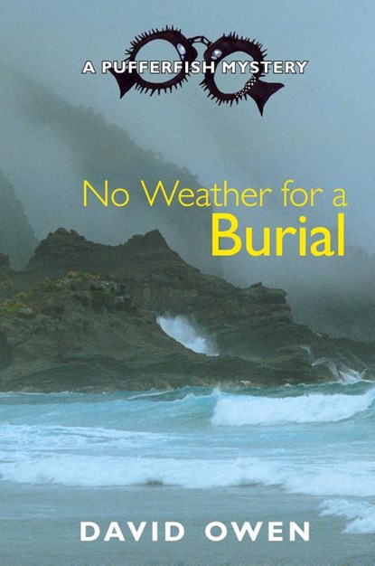 No Weather for a Burial, David Owen - Gebonden - 9781915115478