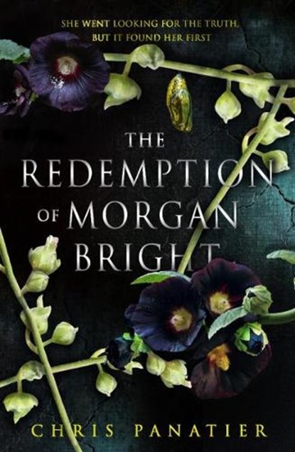 The Redemption of Morgan Bright, Chris Panatier - Paperback - 9781915202895