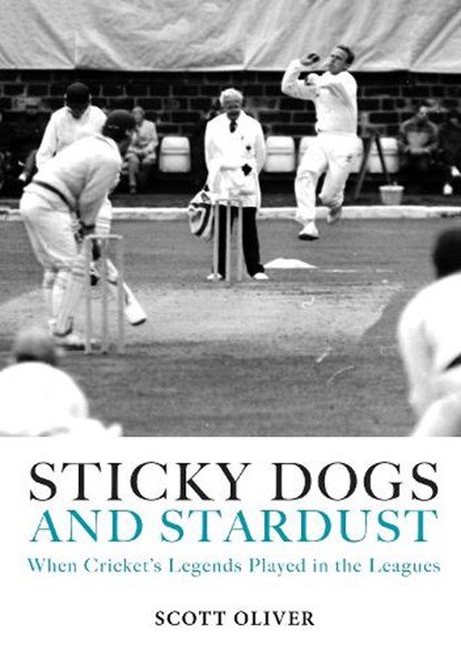 Sticky Dogs and Stardust, Scott Oliver - Gebonden - 9781915237262