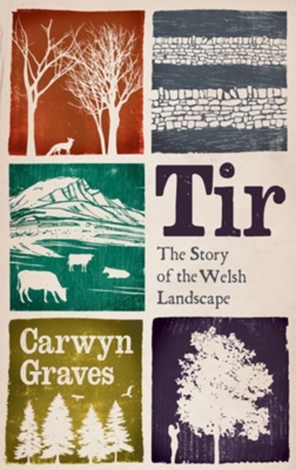Tir, Carwyn Graves - Gebonden - 9781915279668