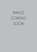 Majapahit, Herald van der Linde - Paperback - 9781915310286