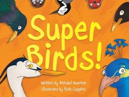 Super Birds!, Annabel Marriott - Paperback - 9781915352590