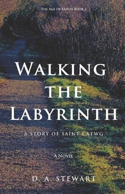 Walking the Labyrinth, D a Stewart - Paperback - 9781915485014