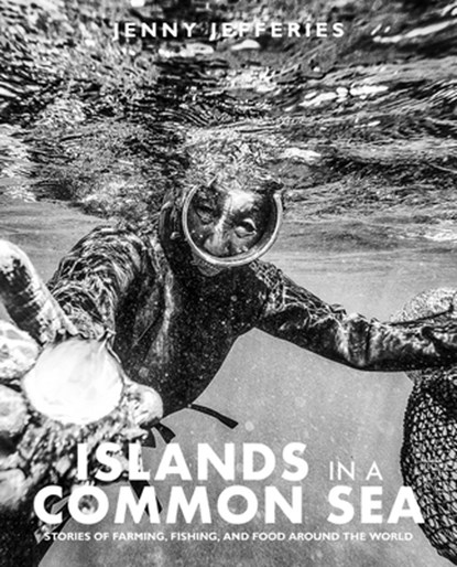 Islands In A Common Sea, Jenny Jefferies - Gebonden - 9781915538208