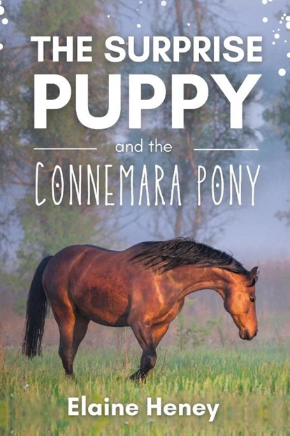 The Surprise Puppy and the Connemara Pony, Elaine Heney - Paperback - 9781915542243