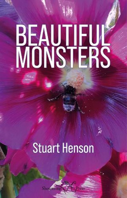 Beautiful Monsters, Stuart Henson - Paperback - 9781915553164