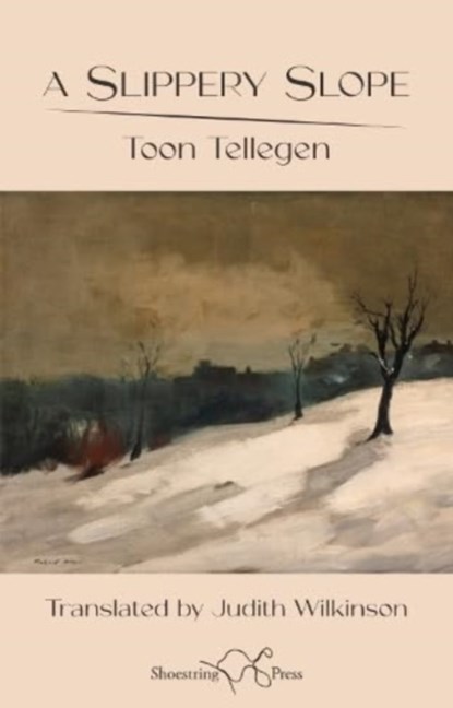 Slippery Slope, Toon Tellegen - Paperback - 9781915553270