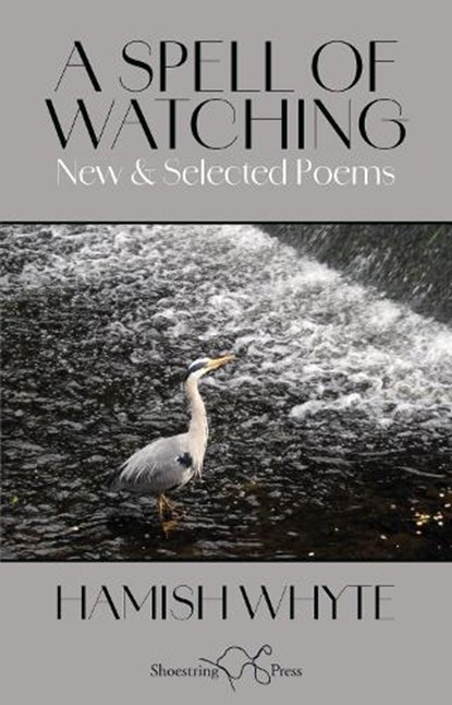 A Spell of Watching, Hamish Whyte - Paperback - 9781915553539