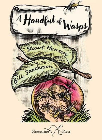 A Handful of Wasps, Stuart Henson - Paperback - 9781915553614