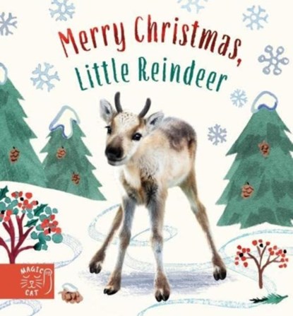 Merry Christmas, Little Reindeer, Amanda Wood - Gebonden - 9781915569011