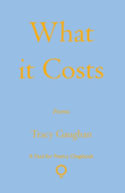 What it Costs, Tracy Gaughan - Paperback - 9781915573001