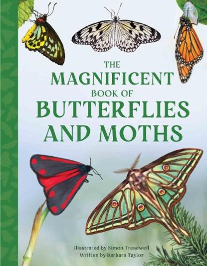 The Magnificent Book of Butterflies and Moths, Barbara Taylor - Gebonden - 9781915588425