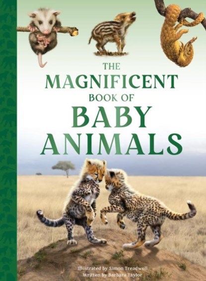 The Magnificent Book of Baby Animals, Barbara Taylor - Gebonden - 9781915588470