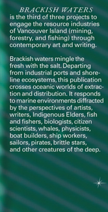Brackish Waters, Jesse Birch - Paperback - 9781915609861