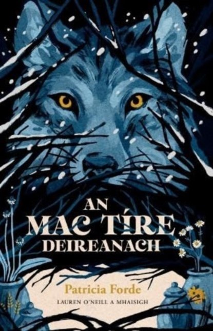 An Mac Tire Deireanach, Patricia Forde - Paperback - 9781915684066