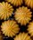 Biomimicry in Architecture, Michael Pawlyn - Gebonden - 9781915722683