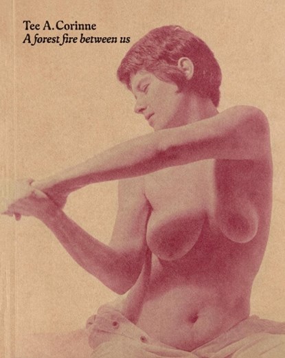 Tee a. corinne: a forest fire between us, charlotte flint - Paperback - 9781915743350