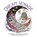 Dream Voyage, Melpomeni Chatzipanagiotou - Paperback - 9781915751119