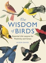 The Wisdom of Birds - Alison Davies - 9781915751140