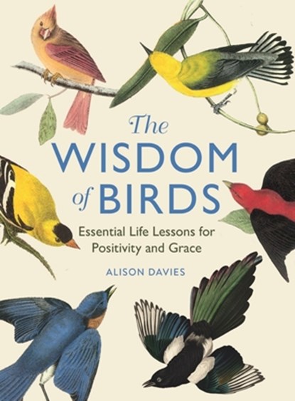 The Wisdom of Birds, Alison Davies - Gebonden - 9781915751140